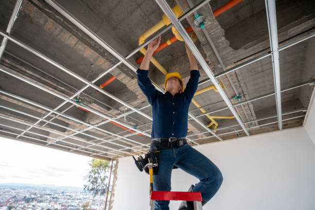 Best Plumbing Services Near Me  in Cocoa West, FL
