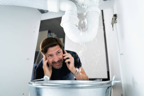 Best Sprinkler Systems  in Cocoa West, FL
